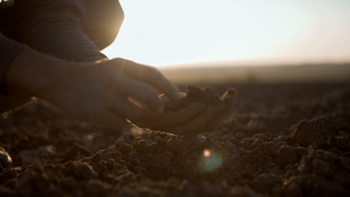 落日时分，斯洛·莫（SLO MO Farmer）用手在田里铲土
