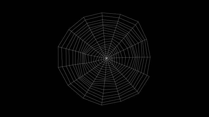 4K蜘蛛网（带透明通道）