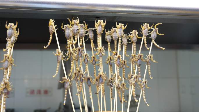 中国王府井街美食的蝎子，北京，