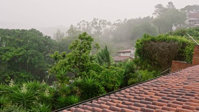 热带城市雨季有大风或阵风的暴雨