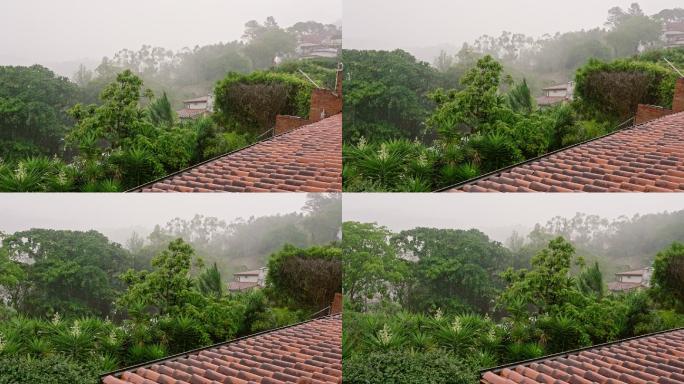 热带城市雨季有大风或阵风的暴雨