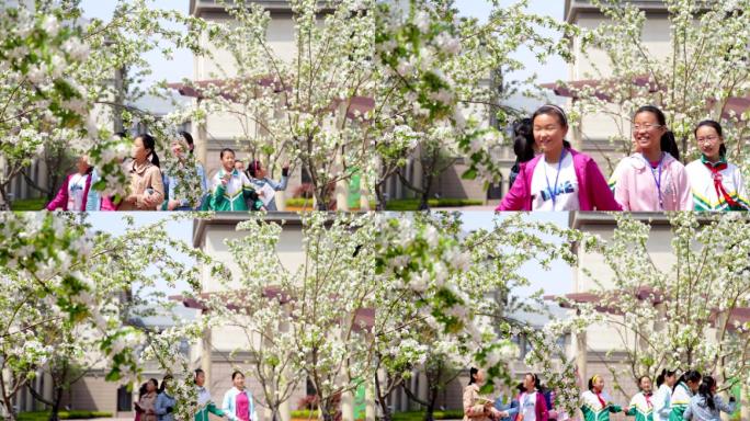 一群女孩子陶醉在春天花团锦簇的校园里