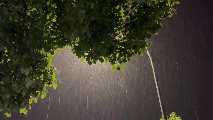 春天春雨雨夜夜晚大雨路灯灯光夏天晚上雨水