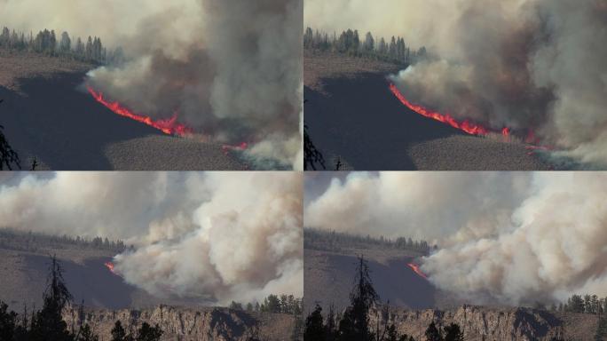 大火吞噬了东部的阿拉帕霍国家森林科罗拉多州的野火