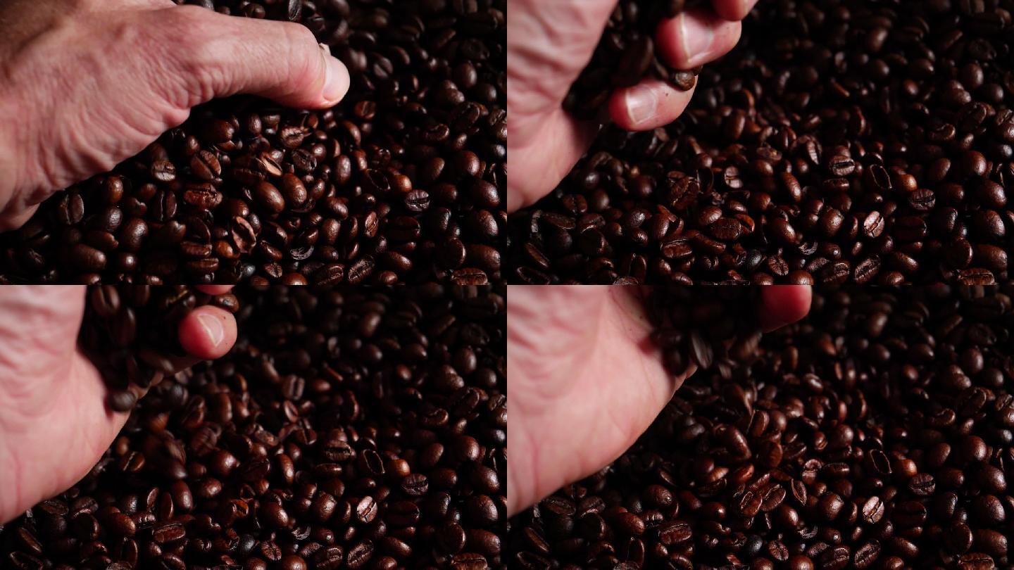 咖啡贸易商检查烤阿拉比卡咖啡豆