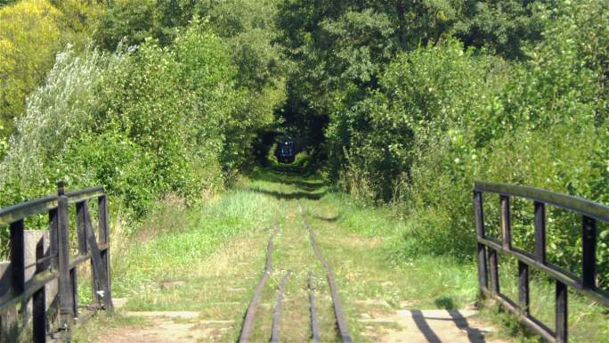 穿过比亚奥维亚森林的旧旅游列车。鸟瞰图