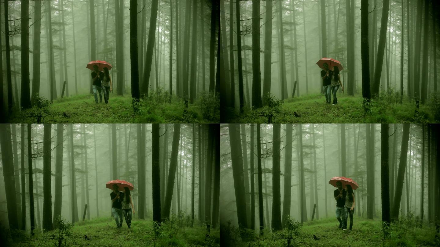 幸福的年轻情侣在大自然的雨伞下漫步。