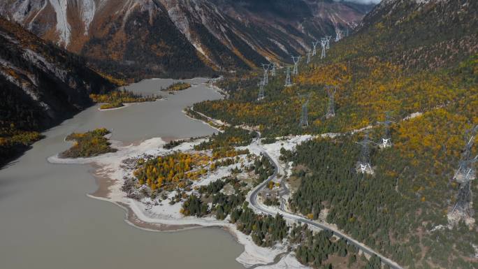 青藏高原然乌湖泊周围森林道路