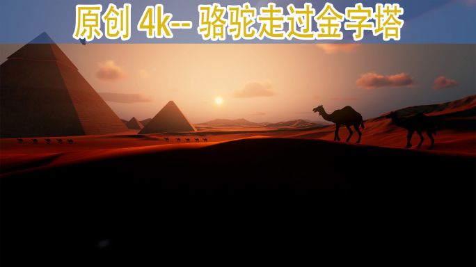 骆驼走过金字塔附近 丝绸之路 一带一路