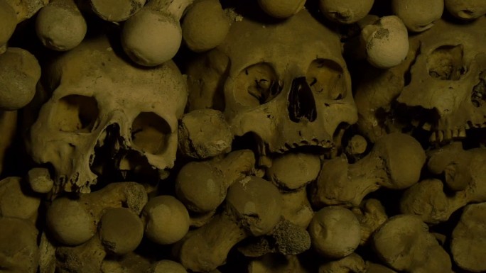 骨库中的人类头骨和骨骼