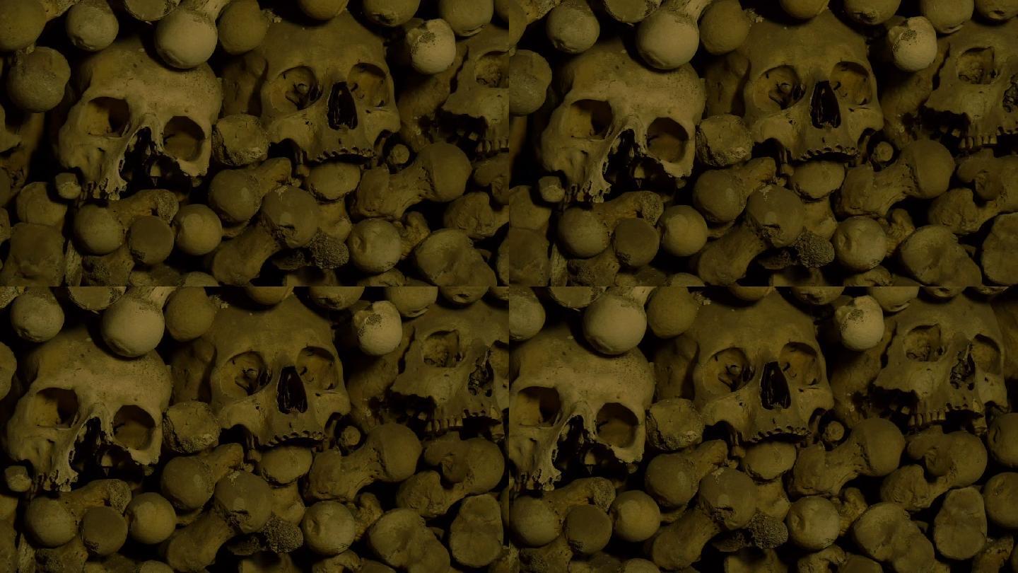 骨库中的人类头骨和骨骼