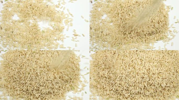 落米水稻稻谷大米米饭农业五谷杂粮丰收乡村