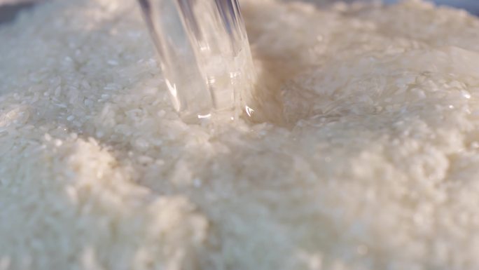 大米 淘米 洗米 搅拌 米粒 食物