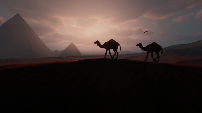 沙漠 骆驼 金字塔 丝绸之路