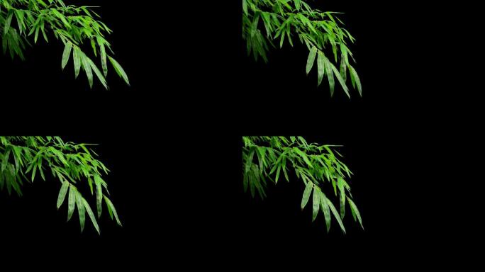微风吹动绿竹竹子带透明通道挂角素材