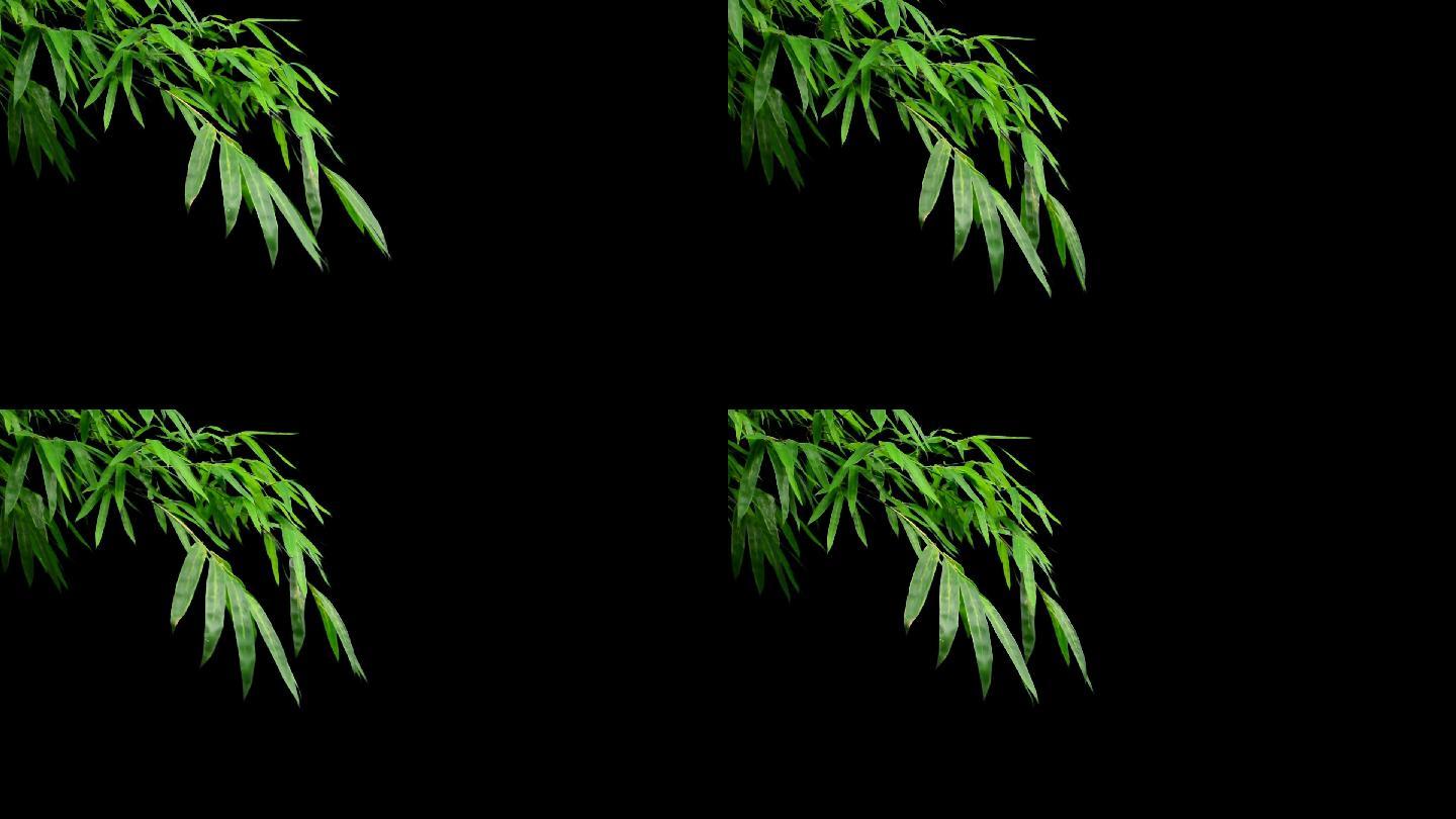 微风吹动绿竹竹子带透明通道挂角素材
