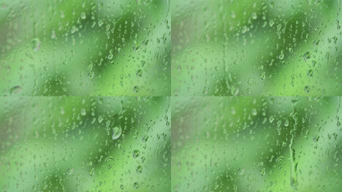 水珠雨滴绿叶背景
