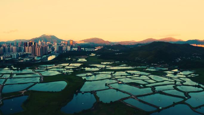 香港有渔场和城市景观