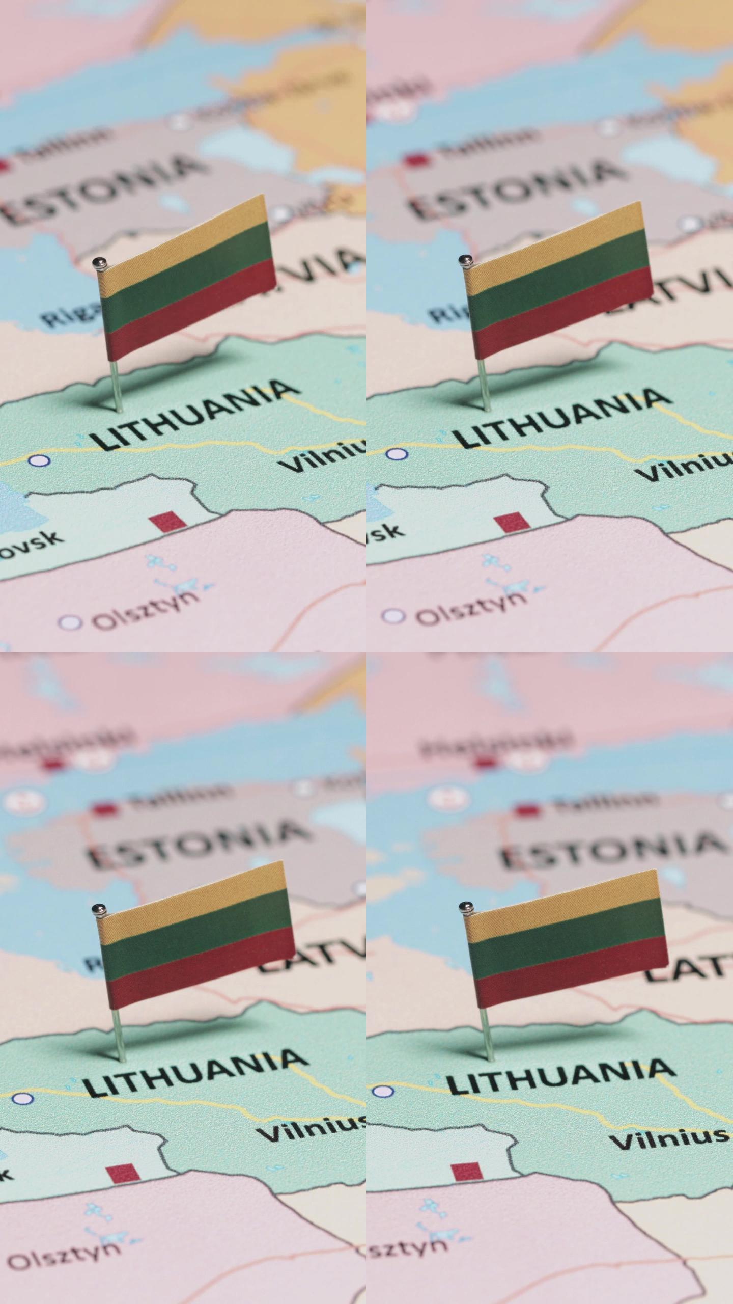 立陶宛国旗垂直视频