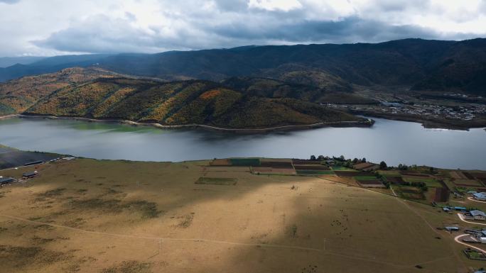湖泊草原牧场视频云南香格里拉藏区藏族民房