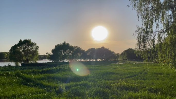 落日余晖湿地公园