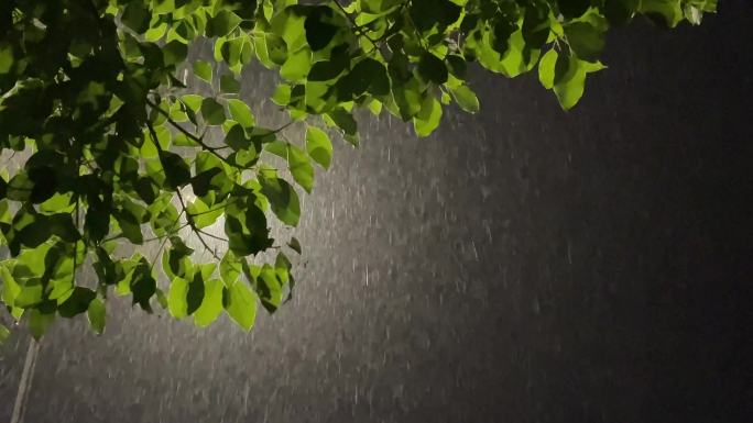 夜晚下大雨路灯树叶春雨暴雨雨夜江南