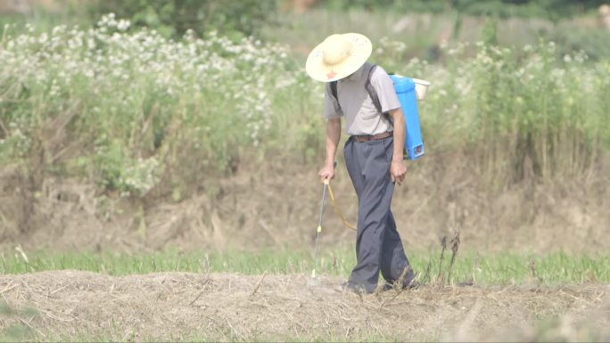 农民农田喷洒农药除草农务务农C016