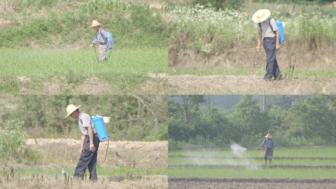 农民农田喷洒农药除草农务务农C016