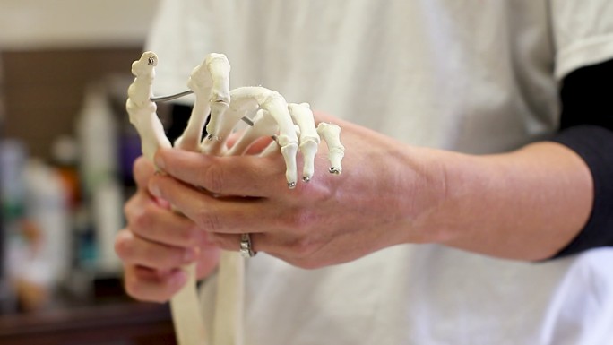 用粘土电影制作前臂骨骼和肌肉假肢模型