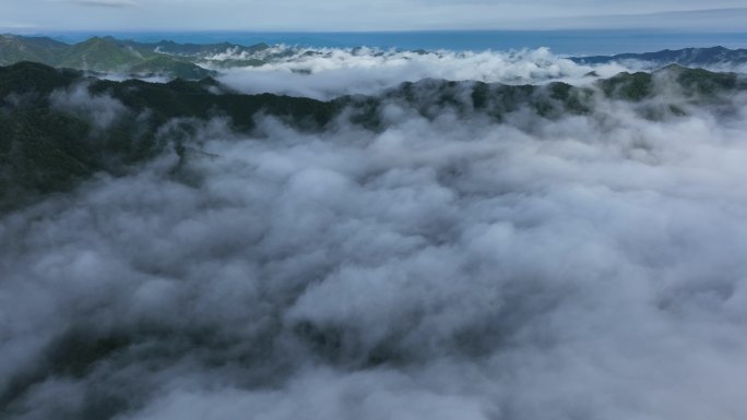 大山里的云雾