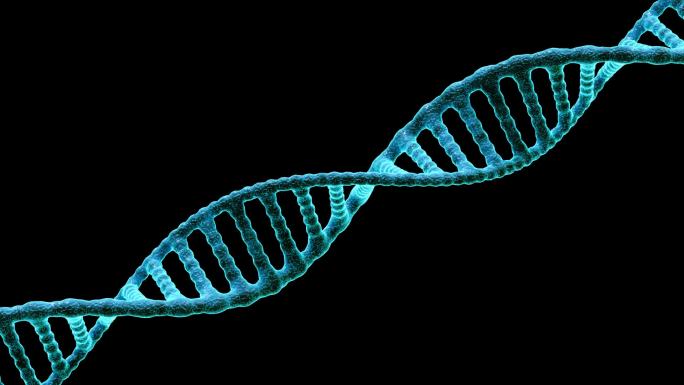 DNA结构动画