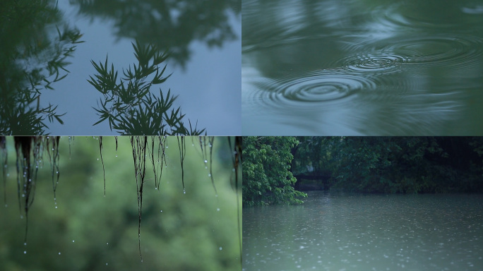 雨天 竹叶倒影 雨滴 水里的涟漪