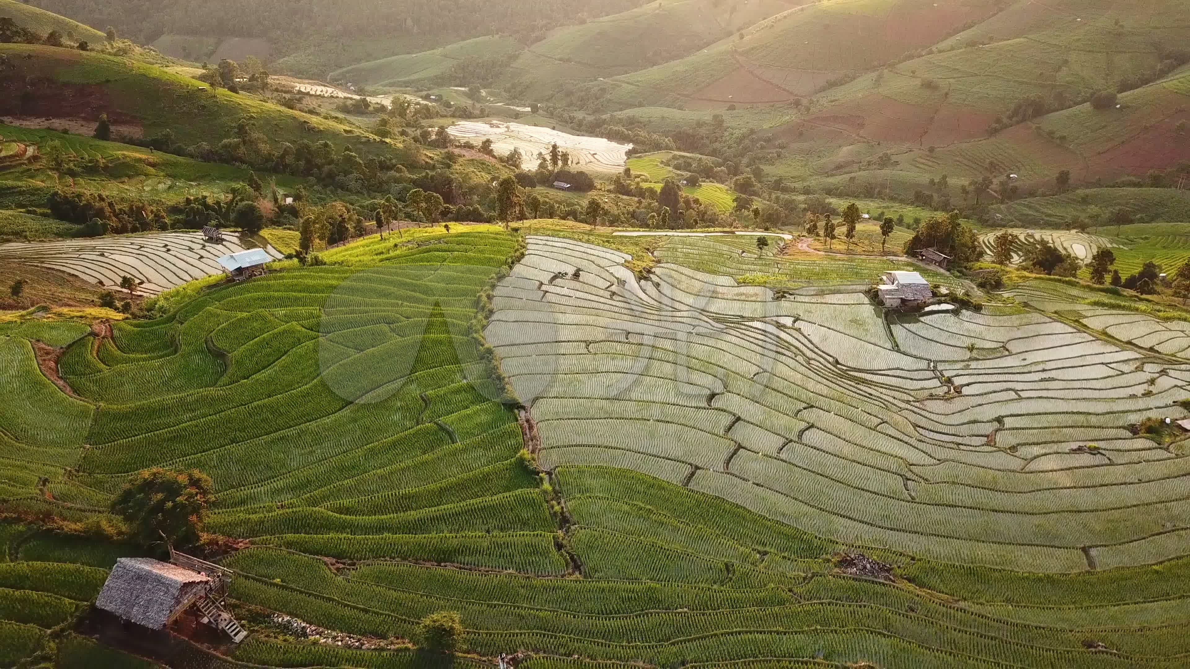 2022德格拉朗梯田游玩攻略,水稻田是巴厘岛最常见的地貌...【去哪儿攻略】