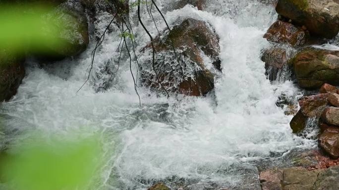 大自然原始生态唯美清澈溪水流淌