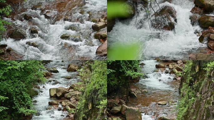 大自然原始生态唯美清澈溪水流淌