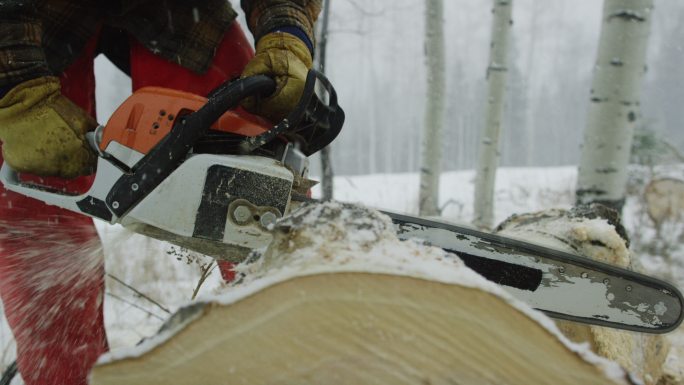一位30多岁留着胡子的白种人在雪天的森林里拿起电锯，砍下一根白杨木，然后离开了