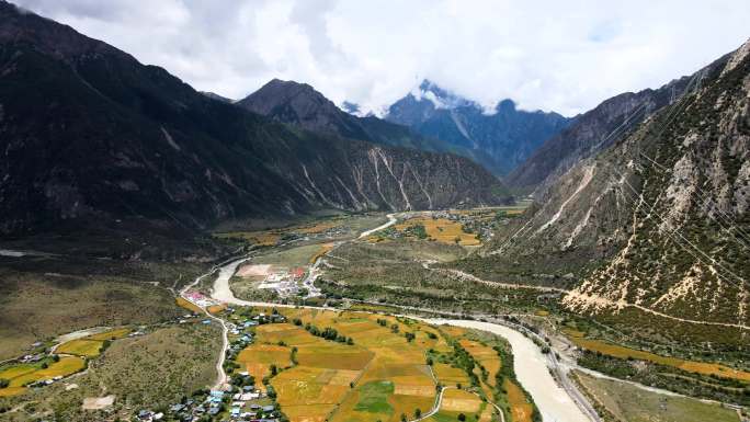 航拍西藏自然风光 峡谷 青稞 麦田 河流
