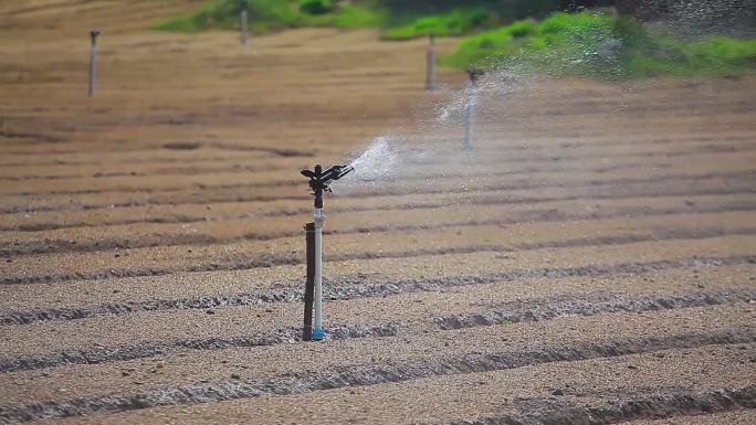 实拍农田自动喷水灌溉