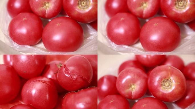 【镜头合集】新鲜西红柿腐坏西红柿对比