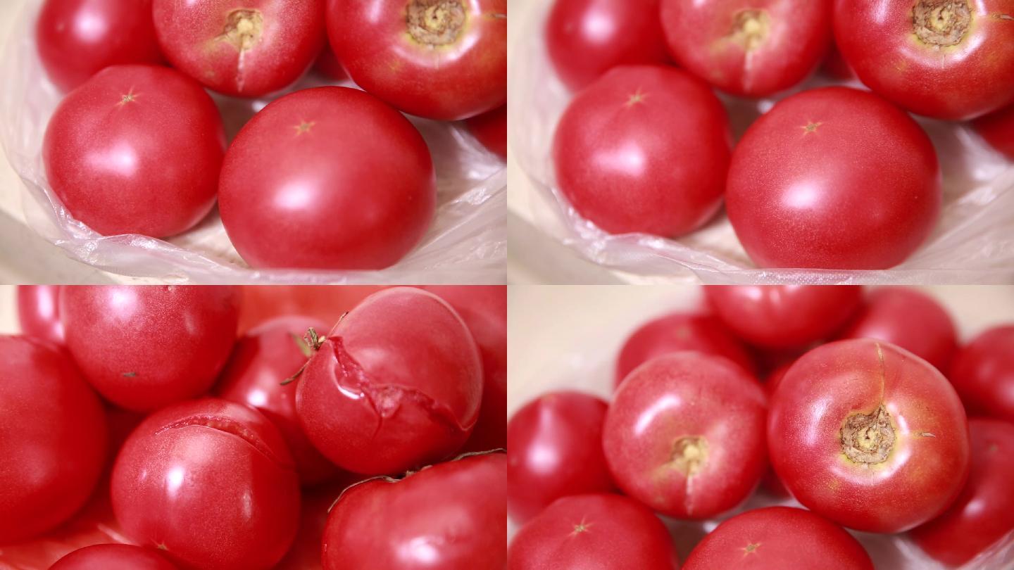 【镜头合集】新鲜西红柿腐坏西红柿对比