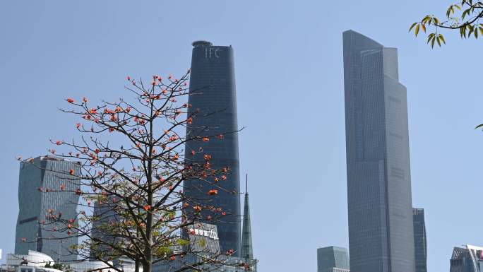 广州市中心建筑群和木棉4K