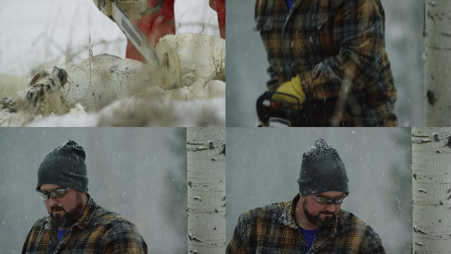 在一个下雪的冬日里，一名30多岁的白人男子用电锯锯砍断了一根白杨木原木
