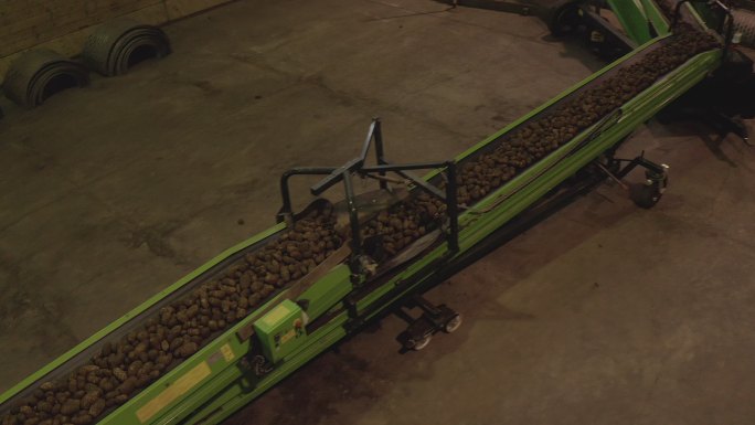 分配收获的土豆的农业机械。仓库内部