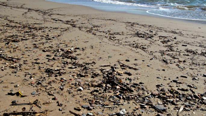 肮脏的海滩可持续发展白色垃圾保护地球