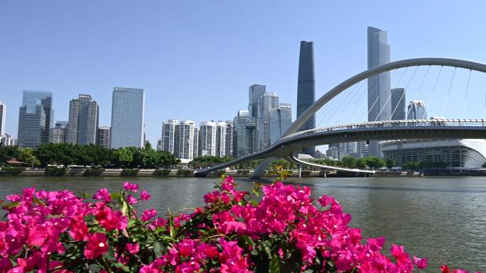 广州市海心桥市中心建筑群和三角梅4K