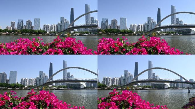 广州市海心桥市中心建筑群和三角梅4K