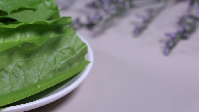 【镜头合集】一盘青菜叶油麦菜叶
