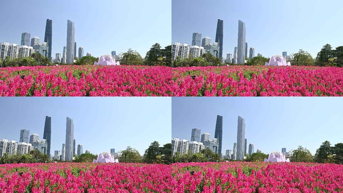 广州东西塔建筑群和美丽公园4K