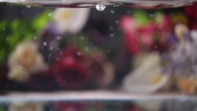 【镜头合集】水下西红柿漂浮