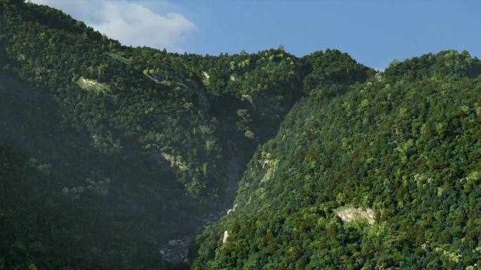 山谷风光峡谷 穿梭推拉镜头长镜头森林仙境